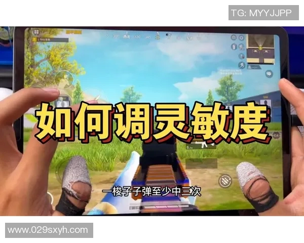 电竞实时数据专家李敏揭秘和平精英成功背后的策略与经验分享