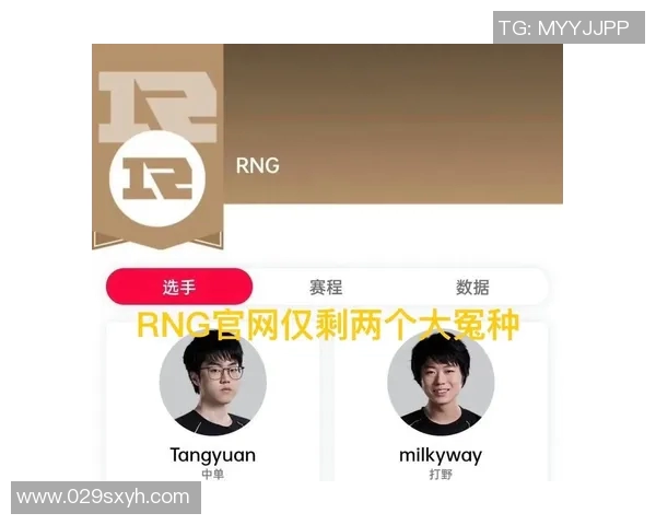 S15电竞总决赛英雄联盟实力榜单揭晓RNG强势夺得第二名引发热议