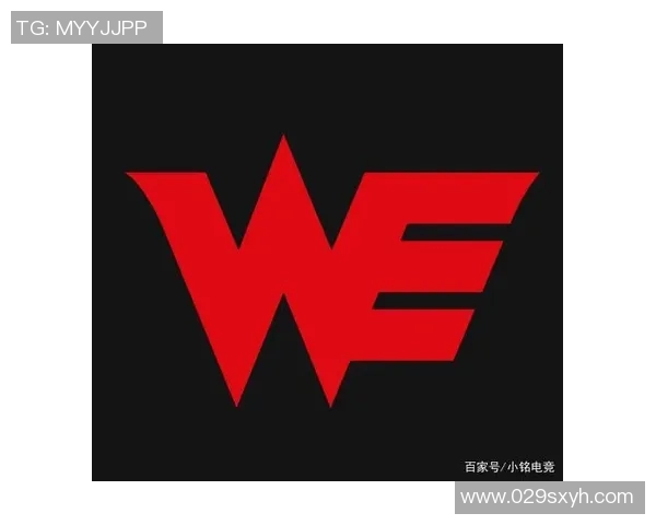 电竞数据高校联赛中WE战队选手个人能力分析与表现点评